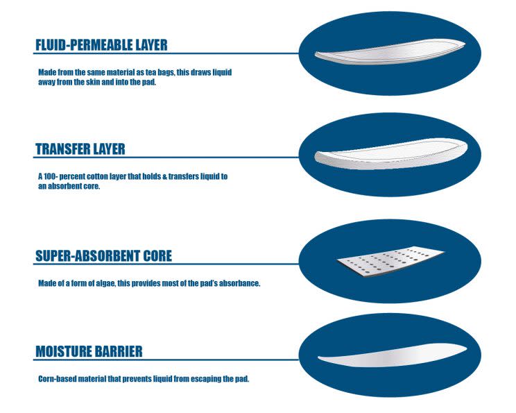 Graphic courtesy University of Utah