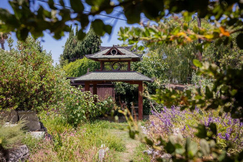 LOS ANGELES-CA-JULY 2, 2024: Chris Elwell and Kory Odell turned their hilly, 10,000 square-foot yard into a habitat garden with water features and native plants at their Mid-Wilshire home. (Christina House / Los Angeles Times)