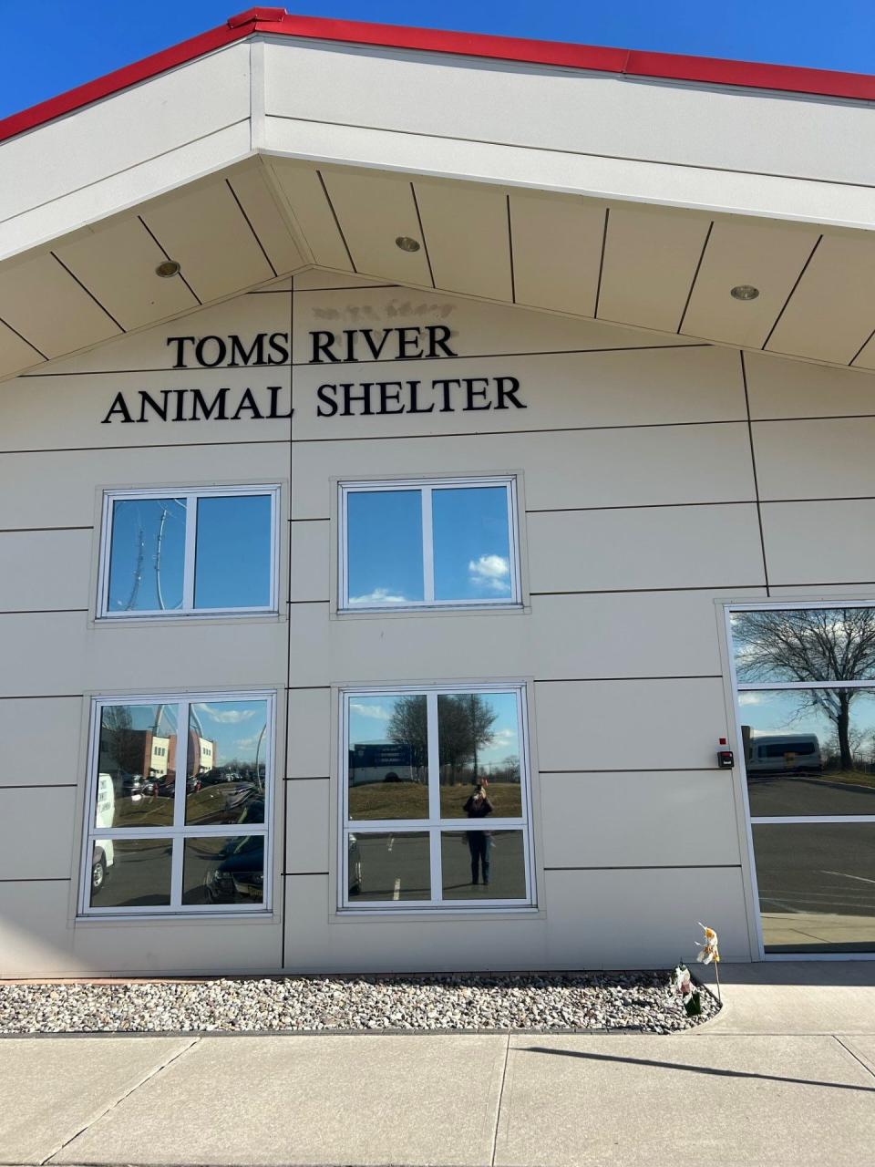 Toms River Animal Shelter, Feb. 29, 2024.