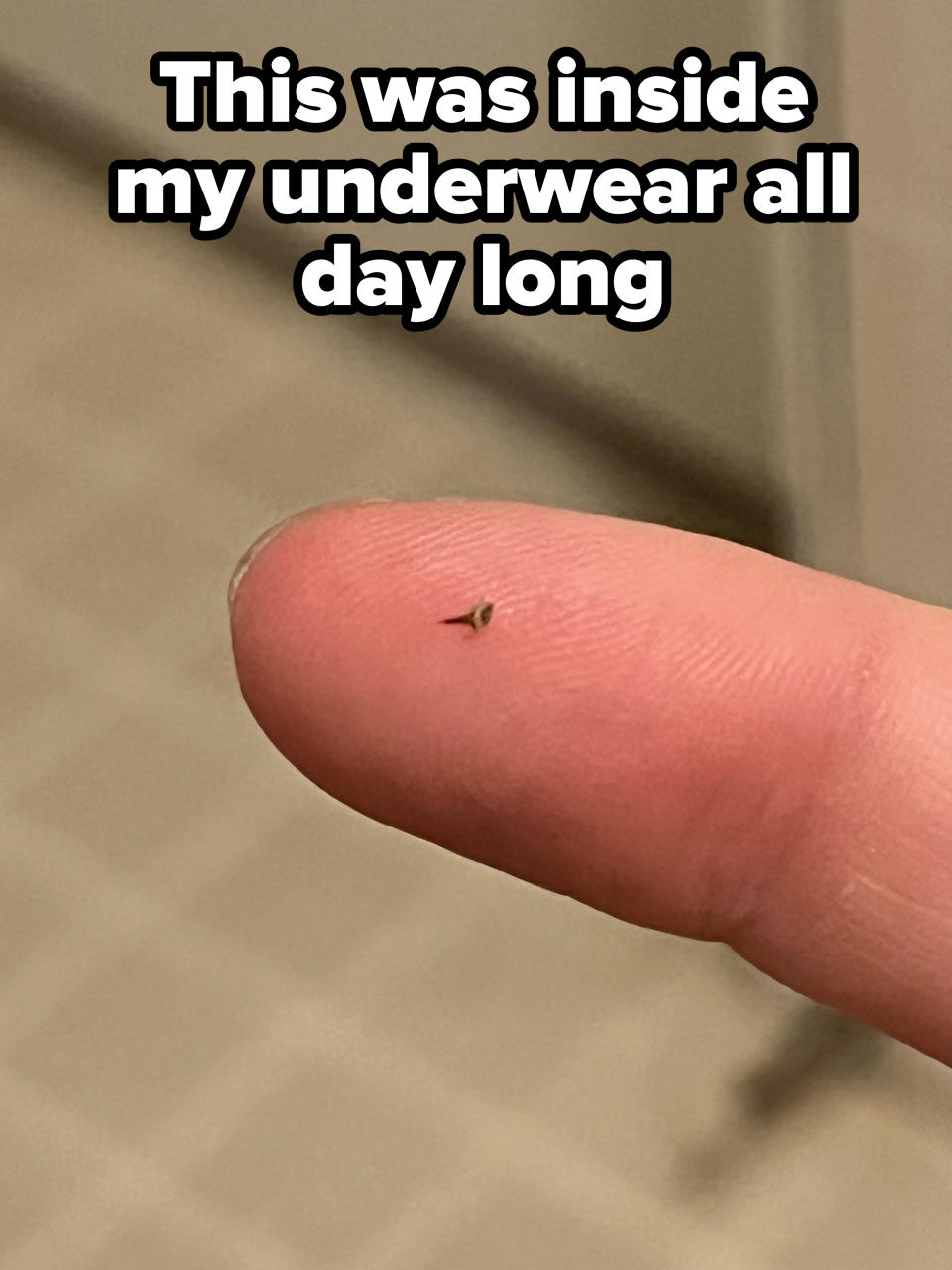 A close-up of a person's fingertip with a tiny splinter embedded near the center