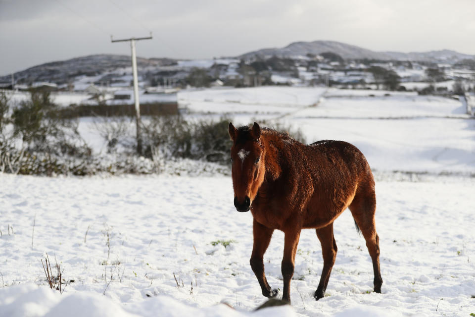 In pictures: Snow blankets Britain