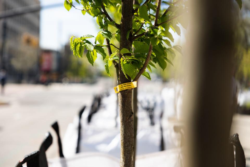 Potted trees are seen surrounding the unveiling of the “Green Loop,” a temporary public park at 200 East 300 South in downtown Salt Lake City on Monday, May 1, 2023. | Ryan Sun, Deseret News
