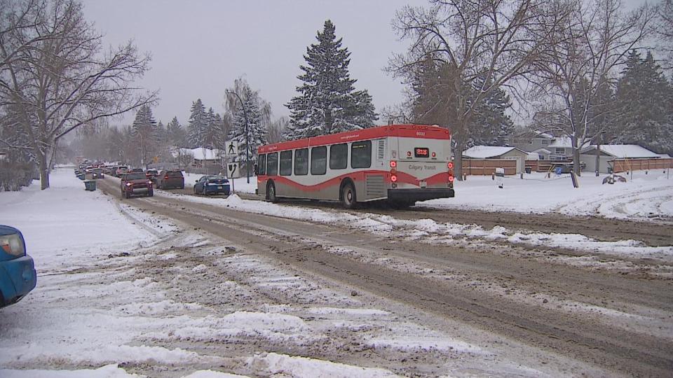 A cold wave is expected to sweep across Alberta this week. The heaviest snowfall is likely to hit the mountain parks and along the Foothills while Calgary may receive up to 15 centimetres of snow. (Dave Gilson/CBC - image credit)