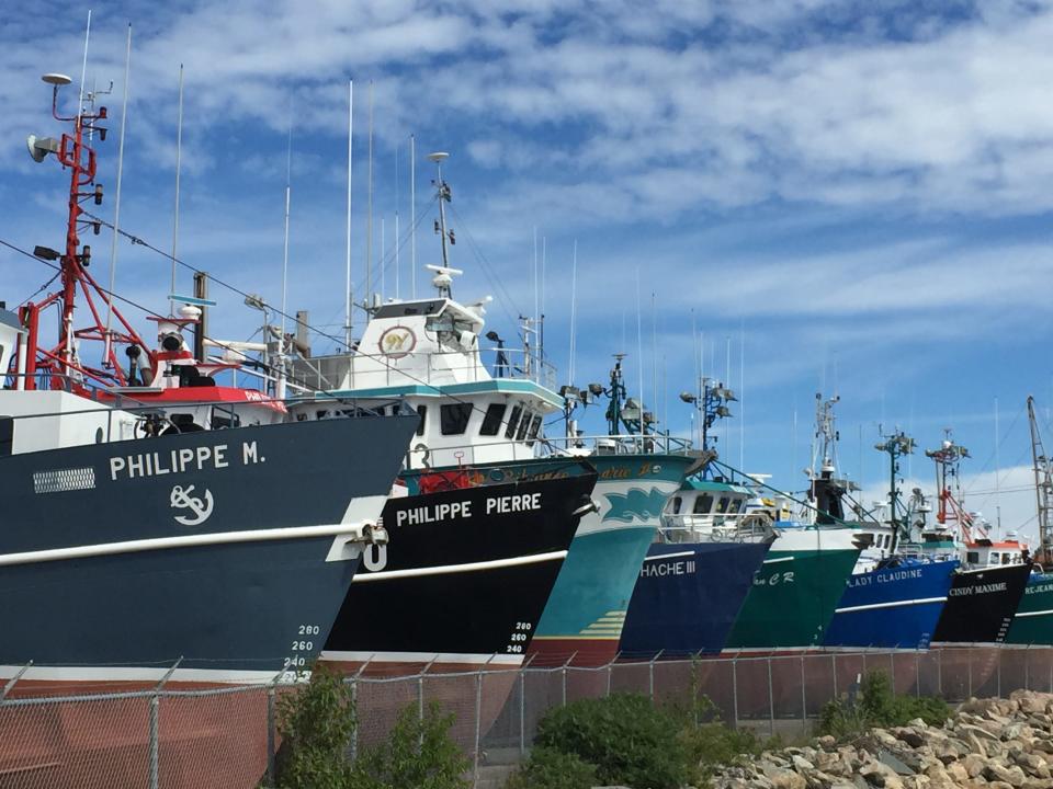 Fishing trawlers, New Brunswick, on our Cross-Canada trip to the Maritime Provinces.