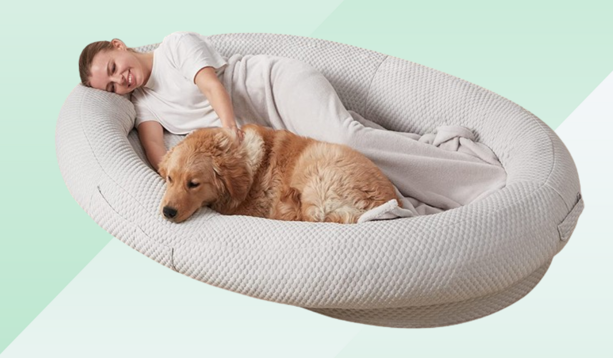 A woman snuggling in a cream-colored human-sized dog bet with a golden retriever. 