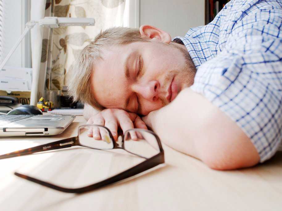 napping on desk sleeping nap time computer tired