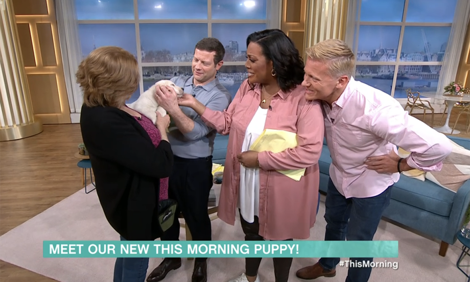 Alison Hammond and Dermot O'Leary see the This Morning puppy for the first time. (ITV screengrab)