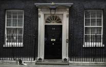 Larry, the resident cat of 10 Downing Street stretches outside the door, in London, Britain October 24, 2016. REUTERS/Dylan Martinez