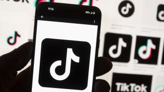 TikTok logo is seen on a mobile phone.