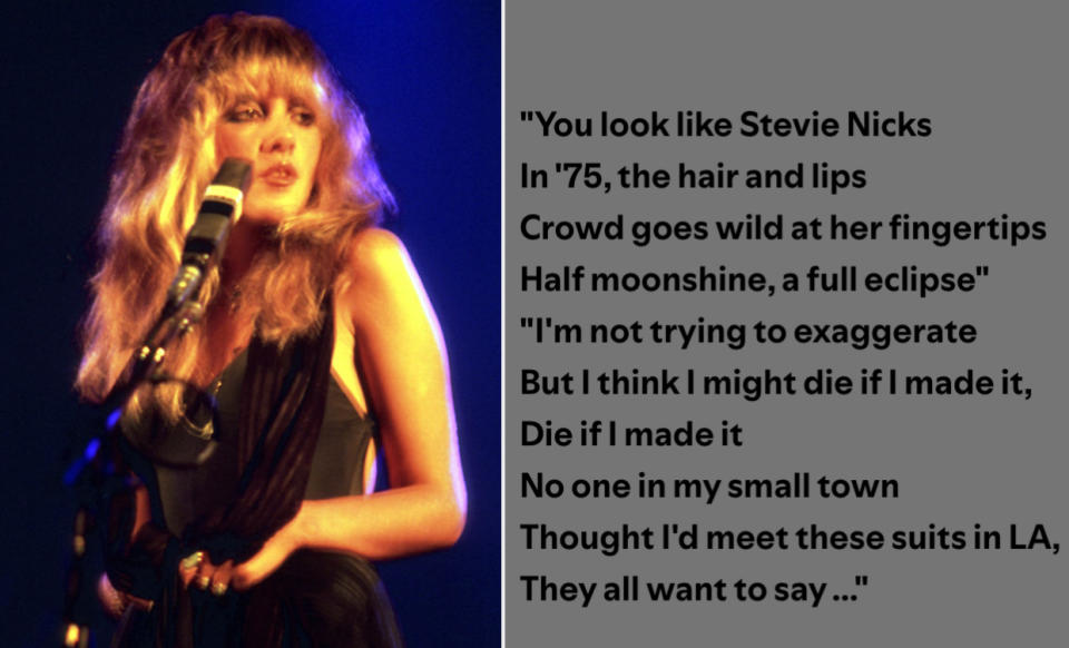 Stevie Nicks performing on stage, holding a microphone. Side text reads, "You look like Stevie Nicks, In '75, the hair and lips, Crowd goes wild at her fingertips, Half moonshine, a full eclipse..."