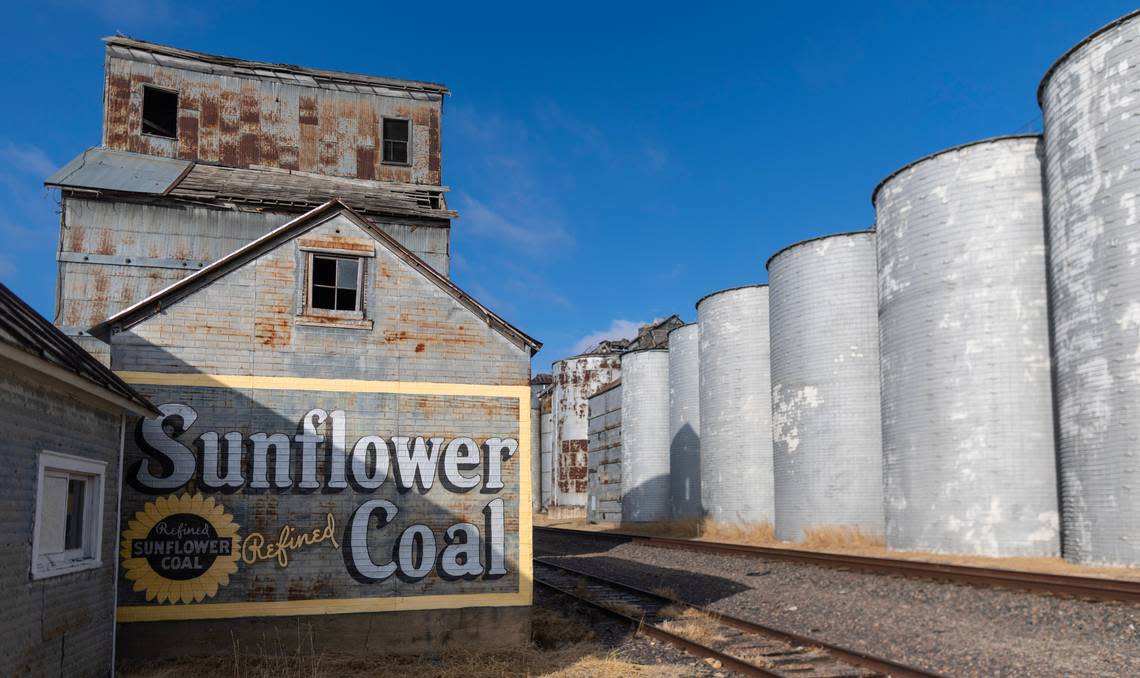 Former Wilson Mayor David Criswell has removed trees that threatened the foundation of the Kyner grain silos and cleaned up a dilapidated former lumber yard that sat on the same property, which he leases from the Union Pacific Railroad.