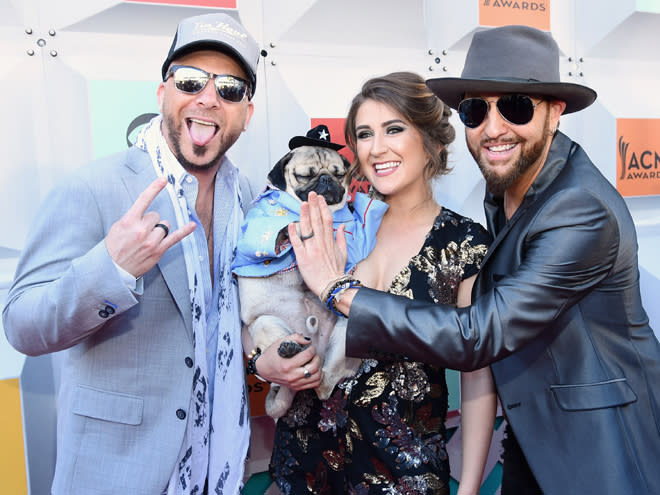 4 Very Important Things Doug the Pug Did on the ACMs Red Carpet