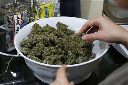 Danielle Hackett prepares marijuana buds for sale at BotanaCare in Northglenn, Colorado in this file photo taken December 31, 2013. REUTERS/Rick Wilking/Files