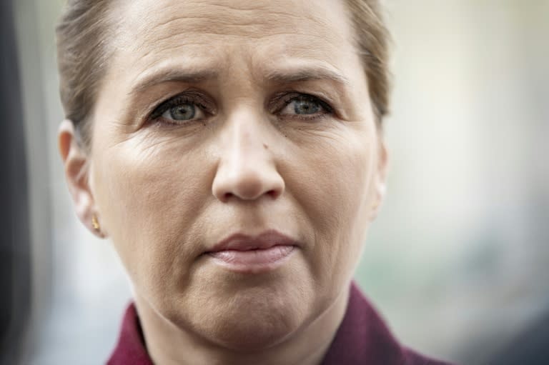 Mette Frederiksen was 'shocked by the incident', her office said (Mads Claus Rasmussen)