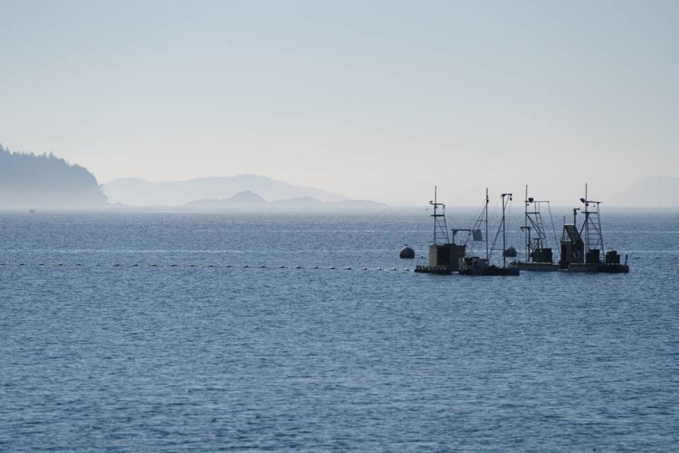 A reef net fishing rig is anchored off Lummi Island on Sept. 14, 2023. The practice is an ancient Indigenous salmon fishing tradition that has been separated from the tribes due to colonialism, government policies, habitat destruction and declining salmon populations.