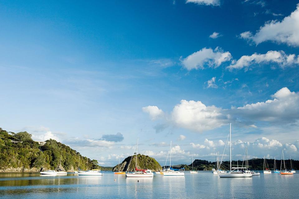 Bay of Islands, yachts in the bays near Kerikeri