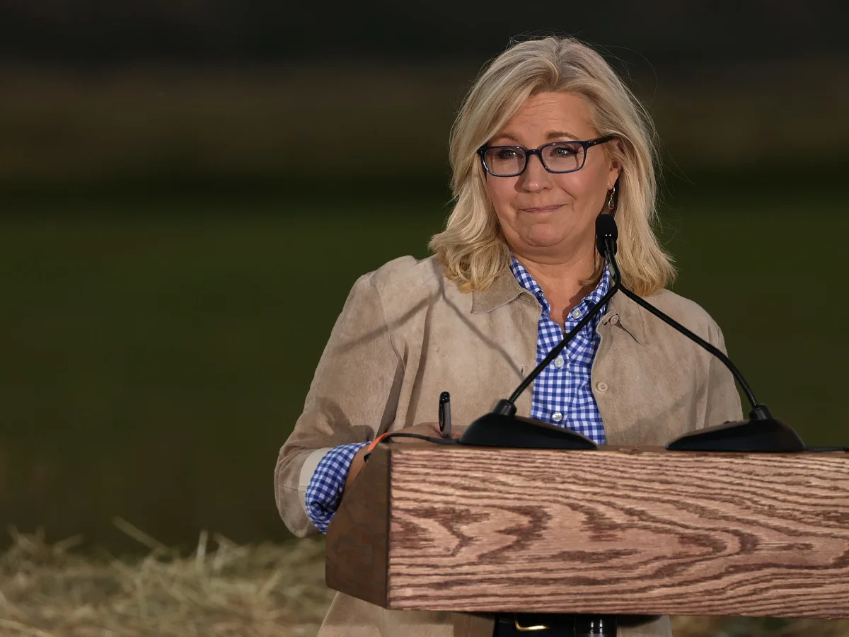 Liz Cheney says she's 'disgusted' the names of the Mar-a-Lago raid FBI agents we..