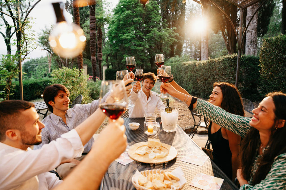 Group of friends at a table in a garden toasting with glasses of wine, surrounded by plates of appetizers and a lush green background with trees and string lights.