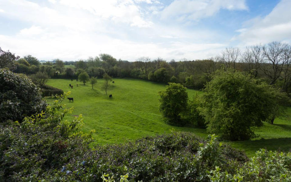 <p>The grounds at Sheriff Hutton Castle in North Yorkshire. (Photo: Caters News) </p>