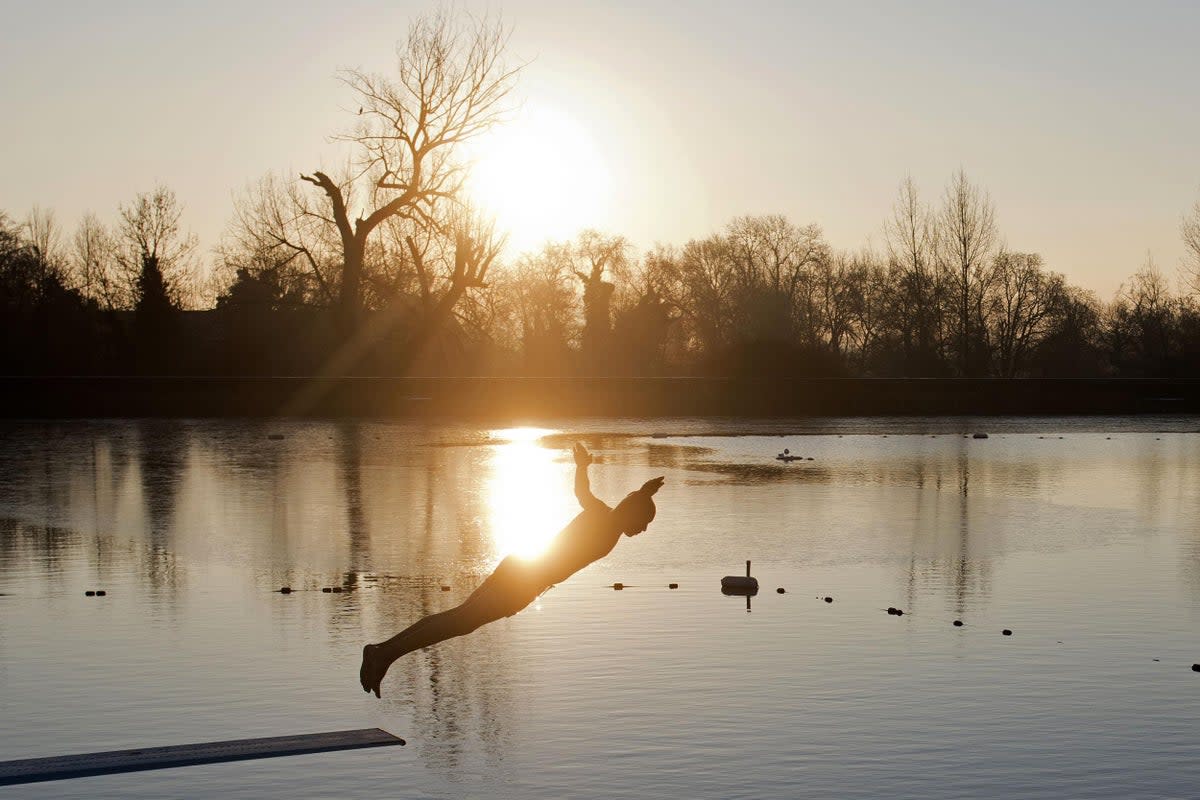 A swimmer dives into the ice cold water at the Highgate Men's Bathing Pond in north London (AFP/Getty Images)