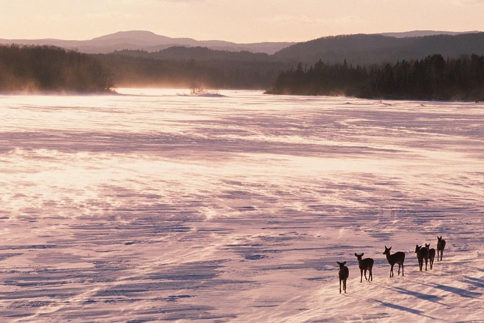 27 Photos That’ll Make Winter Your Favorite Season