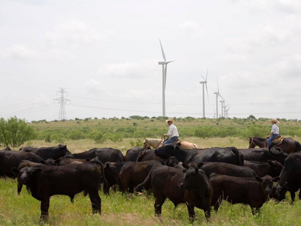 wind farm texas