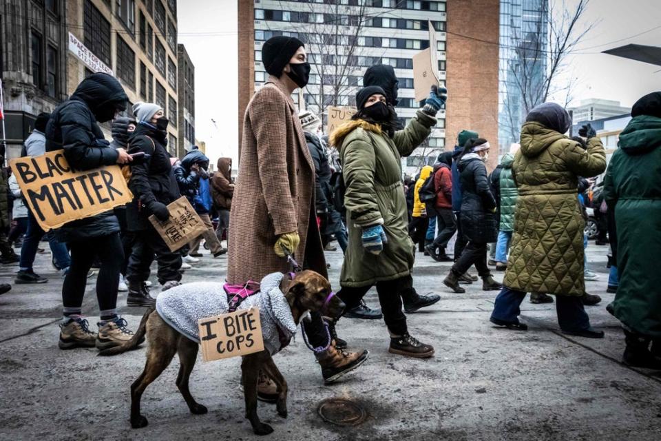 A demonstrator's dog wears a 