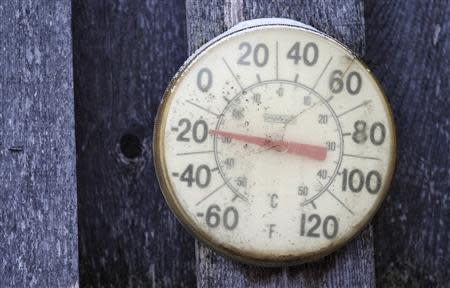 A backyard thermometer shows the temperature during winter in south Minneapolis, January 6, 2014. REUTERS/Eric Miller