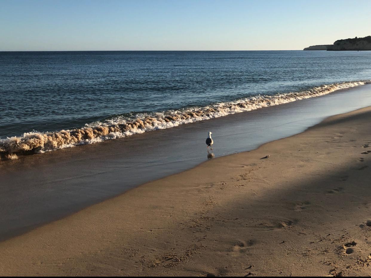 Lonely planet: a beach on the Portuguese Algarve (Simon Calder)