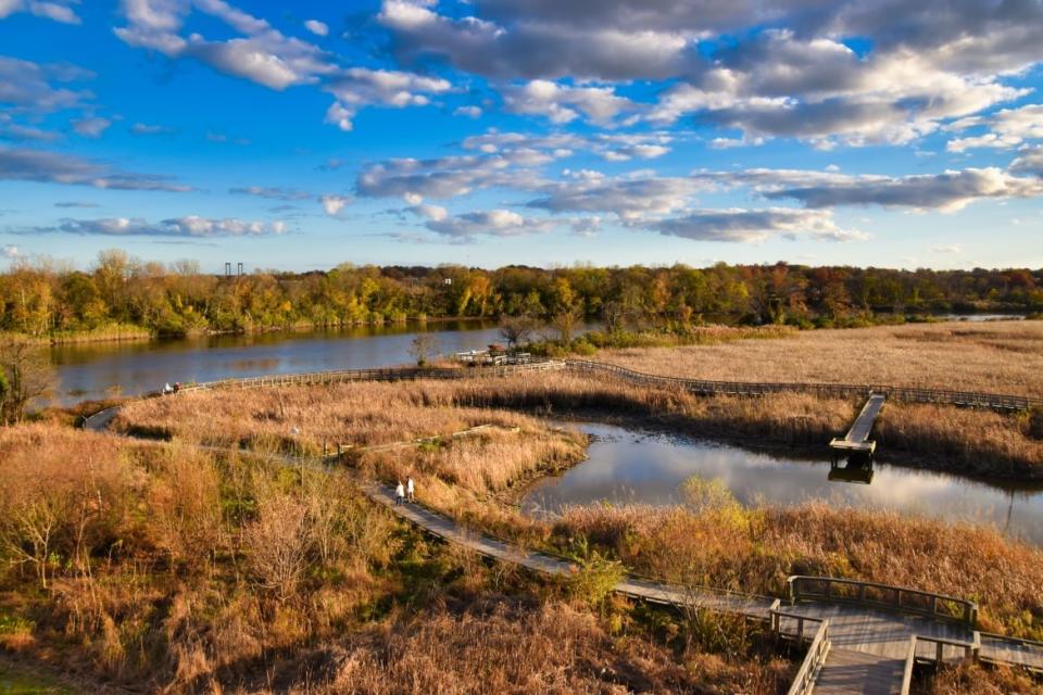 <div class="inline-image__caption"><p>Russell Peterson Wildlife Refuge</p></div> <div class="inline-image__credit">Brandon Withrow</div>