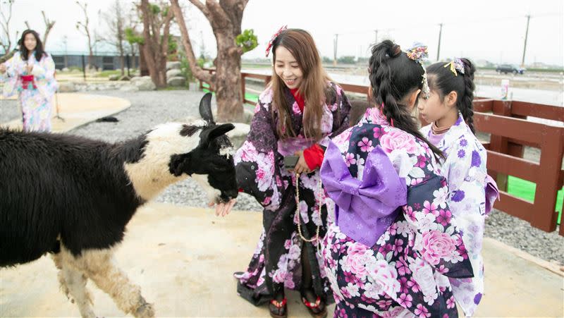 宜蘭全新開放式動物園開幕，民眾可近距離接觸動物。（圖／翻攝畫面）