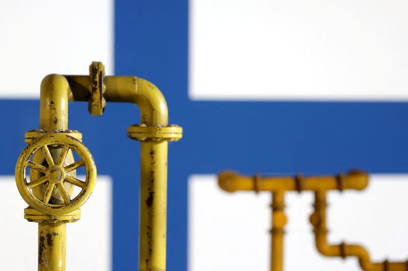 FILE PHOTO: Illustration shows natural gas pipeline and Finland flag