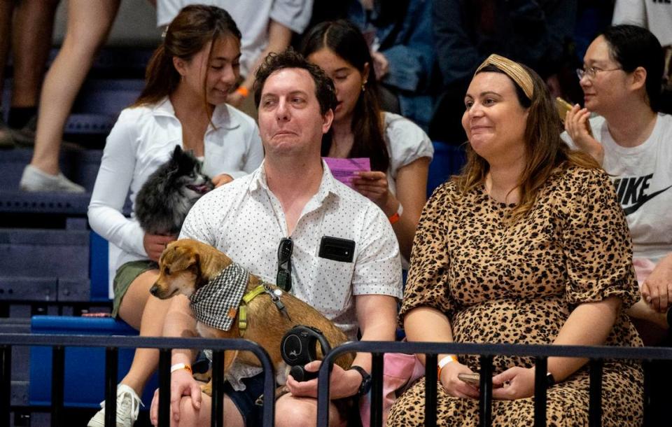 Curt Di Cristina and Angela Ruggiero react while watching cute dachshunds get ready for the Doxie Derby while holding their contender Bosch during UC Davis’ Picnic Day on Saturday.