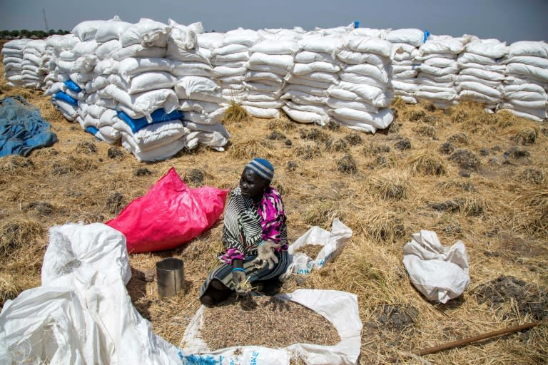 A woman collects grains left on the ground after food distribution in Ganyiel