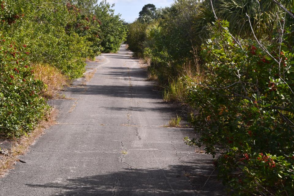 The Compound is located in the southwestern area of Palm Bay and is is an undeveloped area of 12.2 square miles made up of palmettos, pepper trees, wax myrtles and a criss-cross of roads.