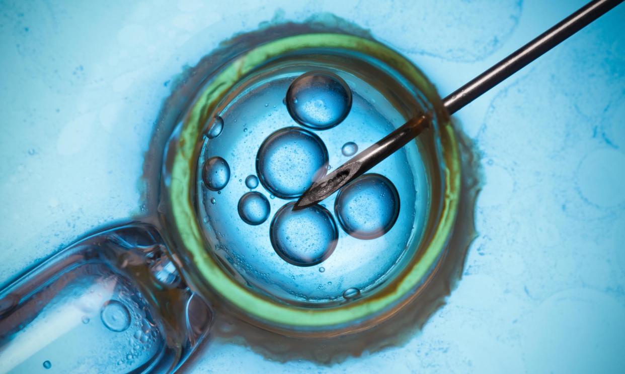 <span>The radical procedure. which may take a decade to perfect and approve in humans, could revolutionise IVF.</span><span>Photograph: nevodka/Alamy</span>