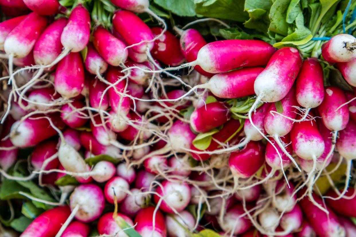 a close up of a pile of red and white radishes