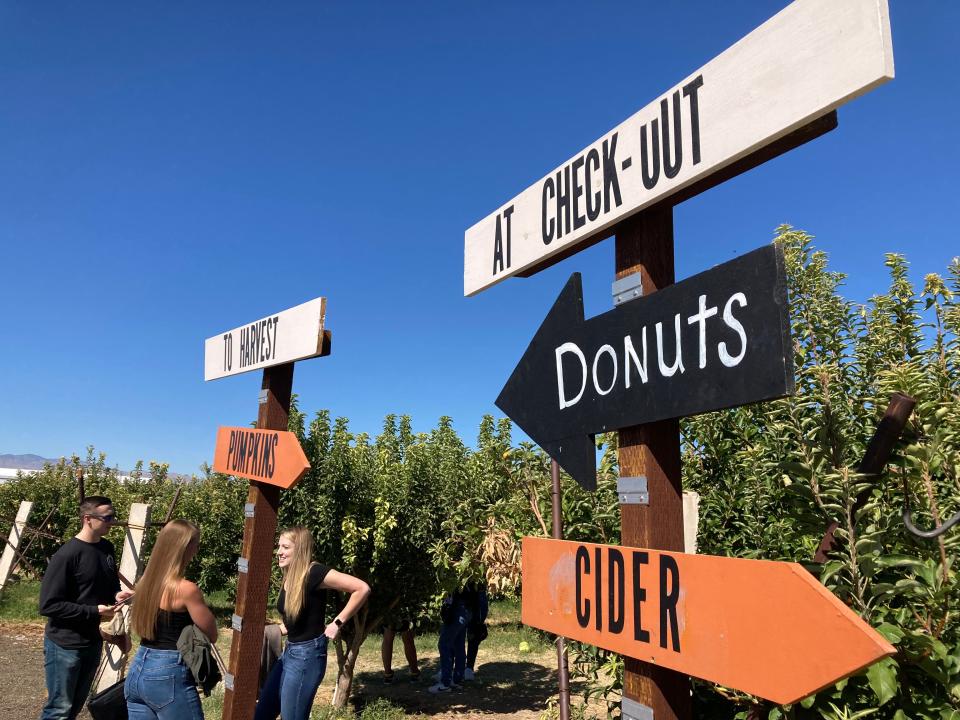 A sign at Gilcrease Orchard in Las Vegas points visitors to the apple cider, which typically sells out by mid-October.