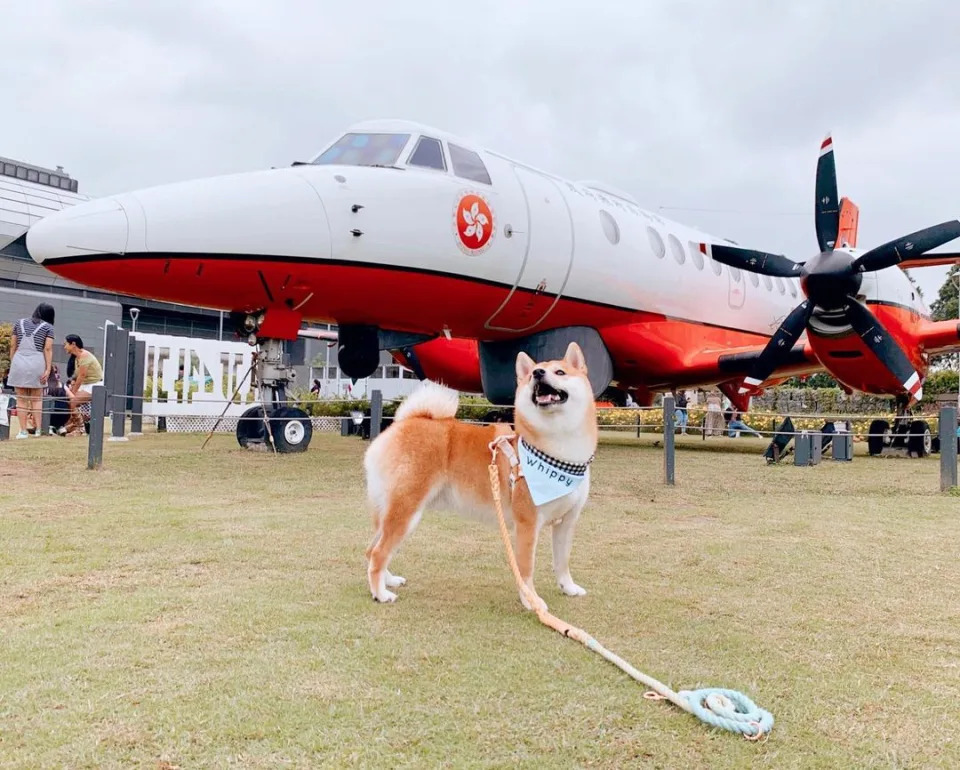 &#x00555f;&#x005fb7;&#x008dd1;&#x009053;&#x00516c;&#x005712; (whippy_shiba@IG)