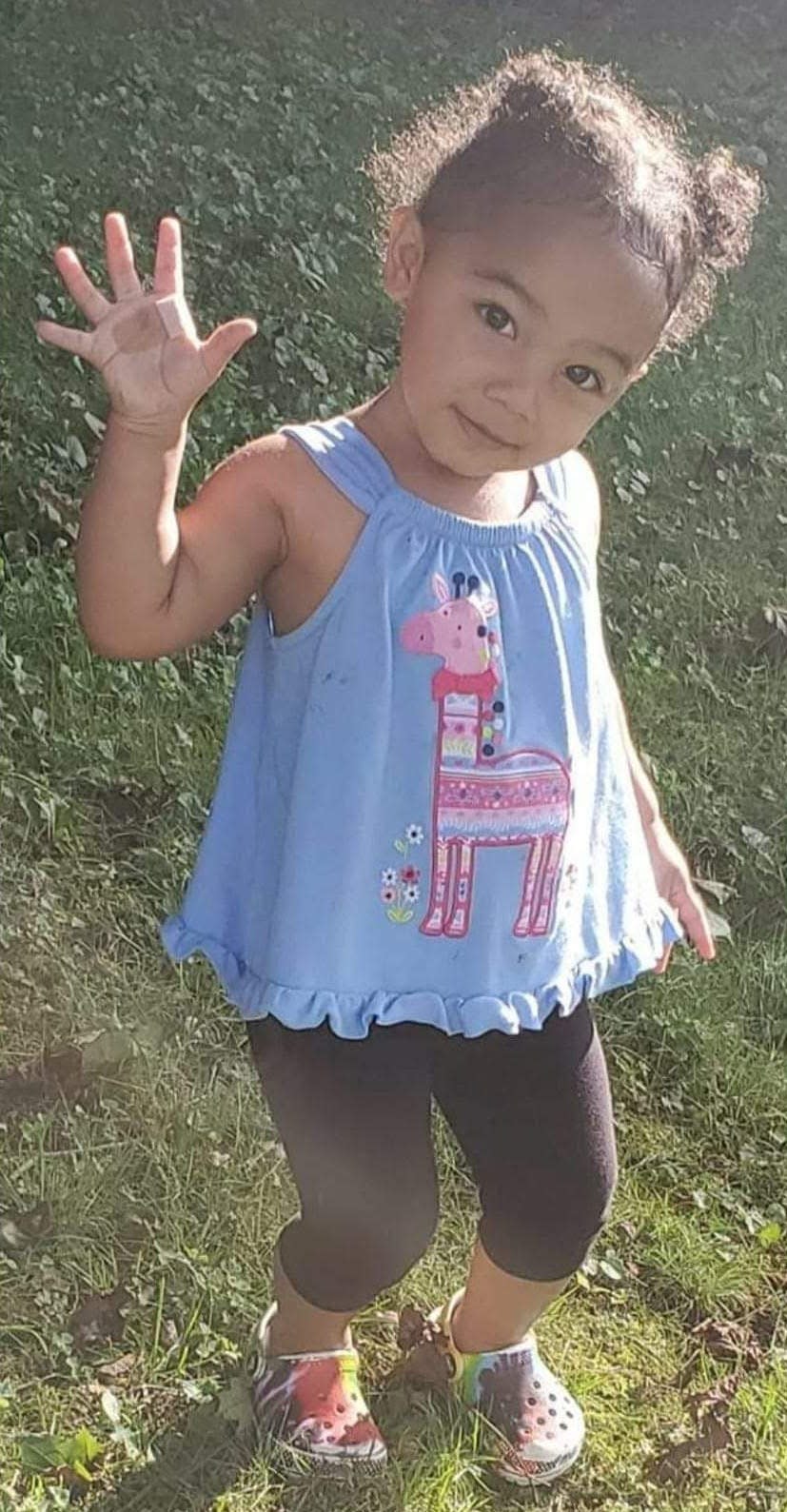 Nalani Johnson was one of 12 children who were abducted and found dead after an Amber Alert was activated, according to media reports about their cases.