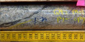 Chalcopyrite, pyrite, molybdenite porphyry-style veinlet mineralization, hosted within strongly silicified granodiorite RVD21-01. This 1.90-metre sample from 78.21 metres returned 0.30 g/t Au, 4.80 g/t Ag, 0.25% Cu, 0.016% Mo, and 0.001% W.