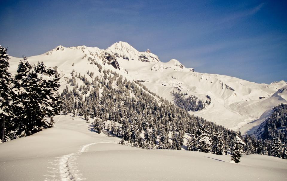 mount garibaldi