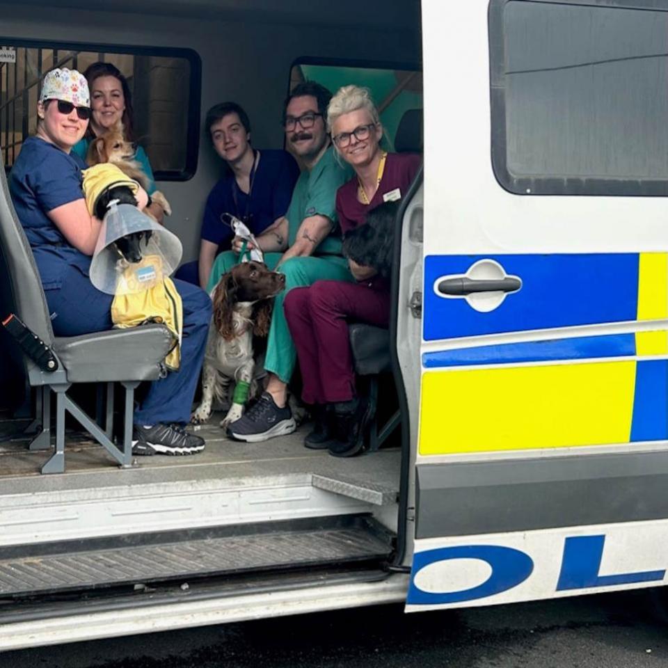 Echo: Poorly - Poorly animals were rescued by staff and the police