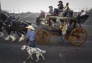 A team of horses pulls a stage coach during the Calgary Stampede parade in downtown Calgary, Friday, July 8, 2016. THE CANADIAN PRESS/Jeff McIntosh