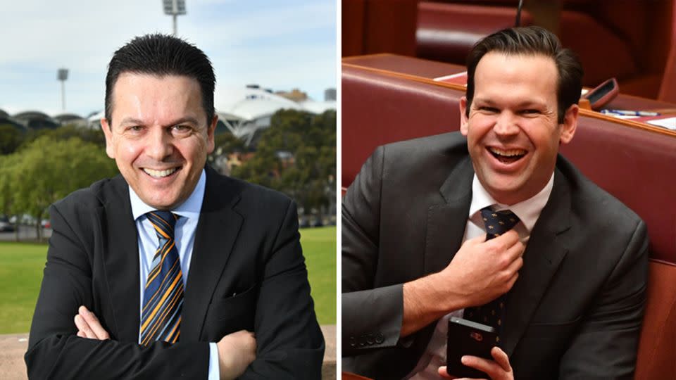 Queensland Liberal Senator Matt Canavan and SA Independent Senator Nick Xenophon are eligible.