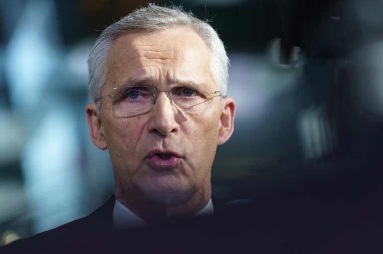 NATO Secretary General Jens Stoltenberg said he expects the US to remain a 'strong ally' whoever wins the presidential election in November (SIMON WOHLFAHRT)