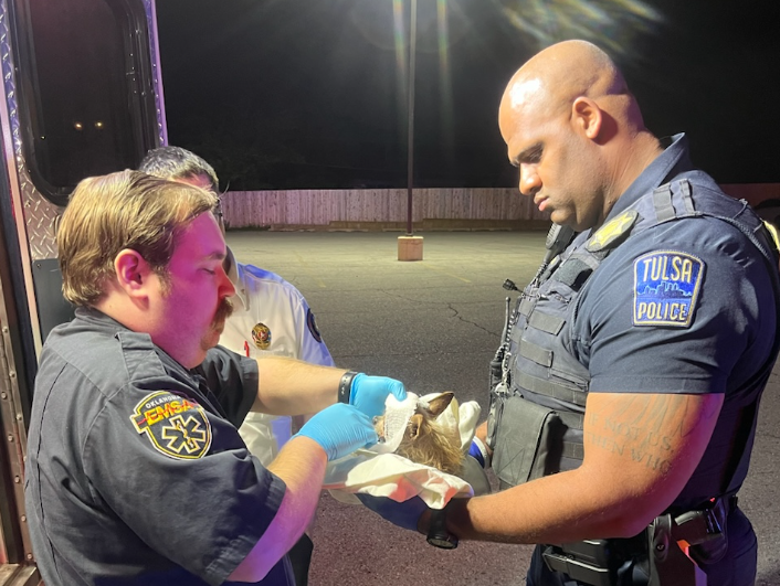 Injured chihuahua with Tulsa Police officer and EMSA paramedic.
