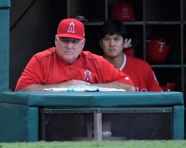 Mike Scioscia Named Team USA Manager