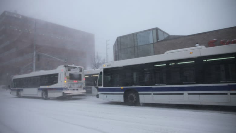 How about Sunday service? Consultation coming on Fredericton transit service