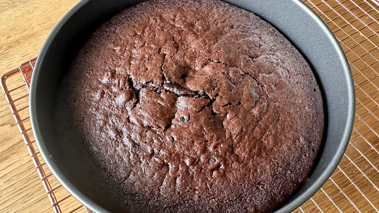 baked chocolate cake in pan